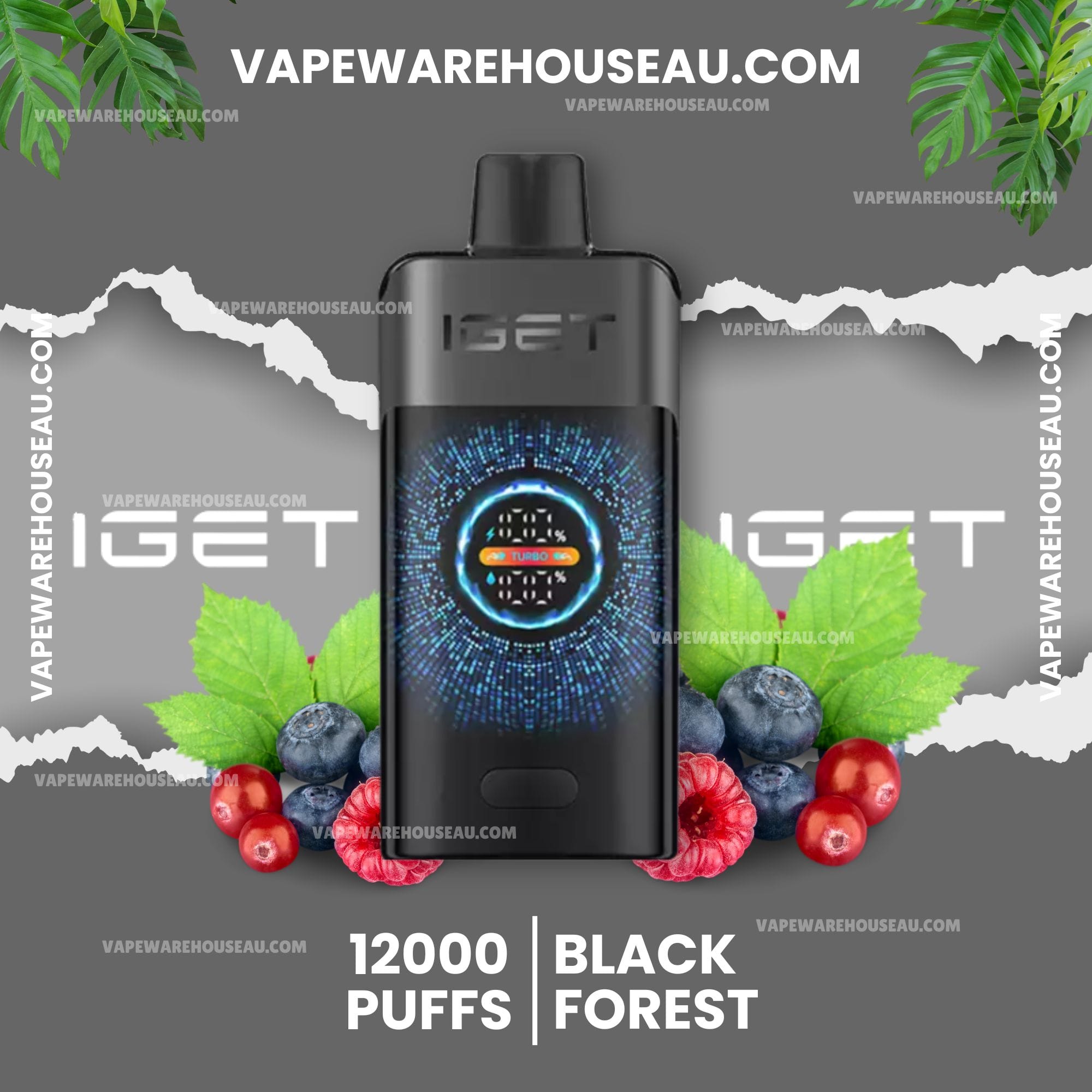 IGET One 12000 Puffs Black Forest 1 IGET One 12000 Puffs Black Forest
