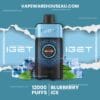 IGET One 12000 Puffs Blueberry Ice