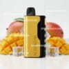 Alibarbar Ice Adjust Mango 4 Alibarbar Ice Adjust Mango