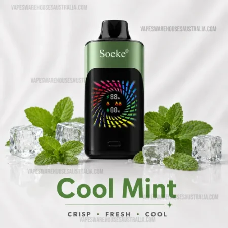 SOEKE S9 28000 Puffs Cool Mint